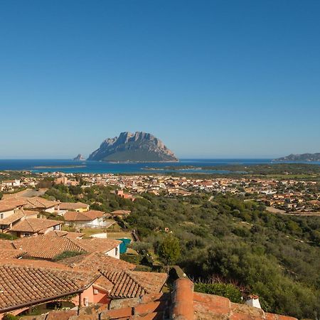 Vista Mare-Isola Tavolara E Solarium Panoramico Apartamento Porto San Paolo  Exterior foto