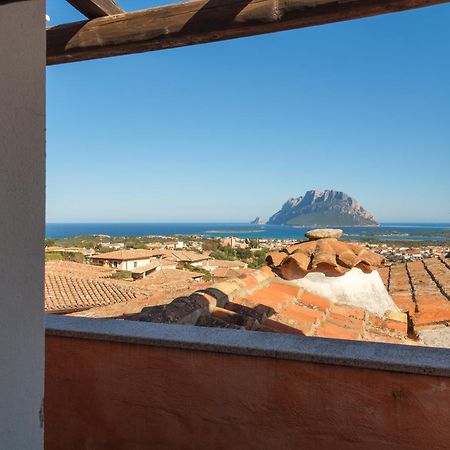 Vista Mare-Isola Tavolara E Solarium Panoramico Apartamento Porto San Paolo  Exterior foto